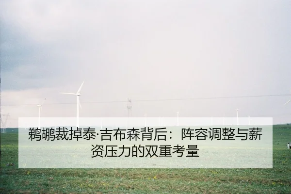 鹈鹕裁掉泰·吉布森背后：阵容调整与薪资压力的双重考量