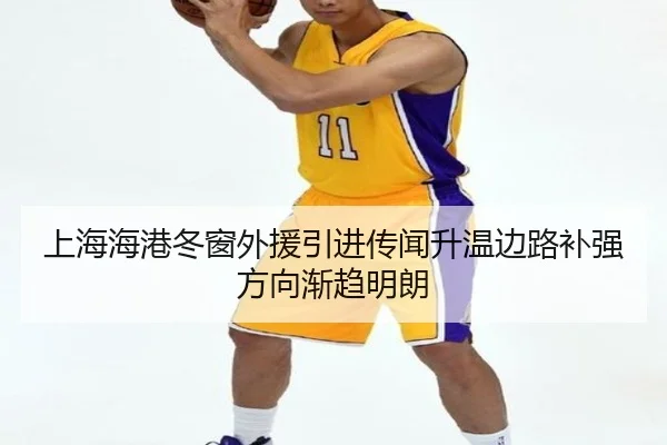 上海海港冬窗外援引进传闻升温边路补强方向渐趋明朗